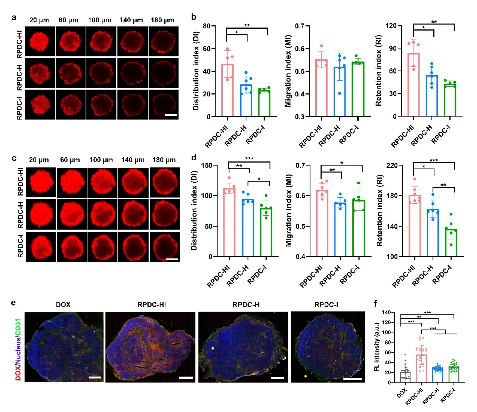 世界杯投注平台