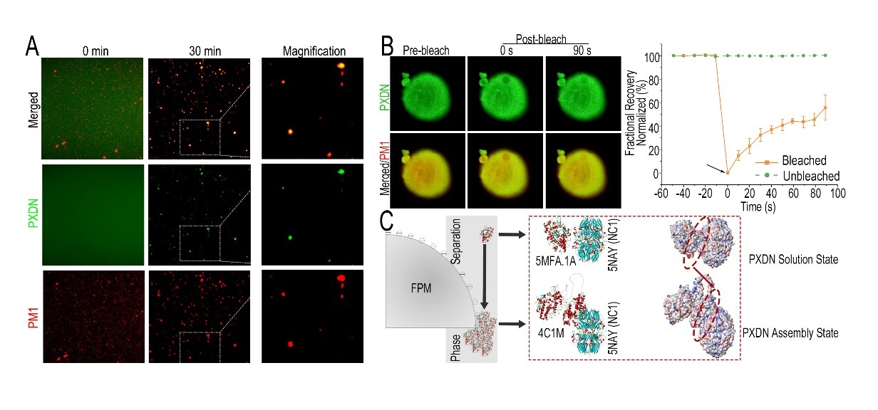 世界杯投注平台
