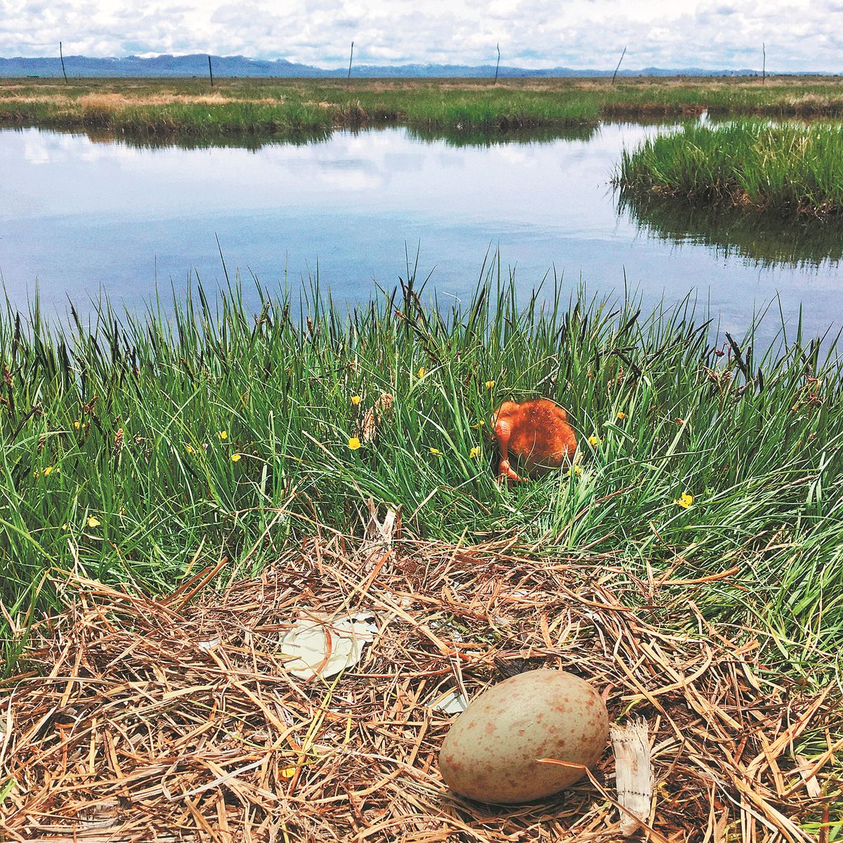 世界杯投注平台
