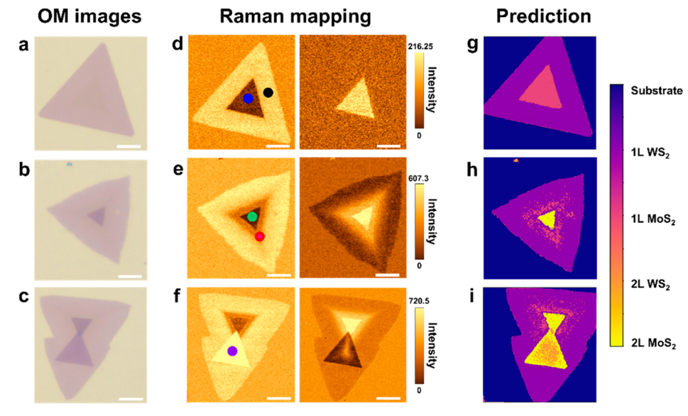 世界杯投注平台