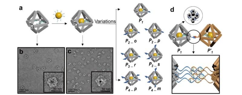 世界杯投注平台