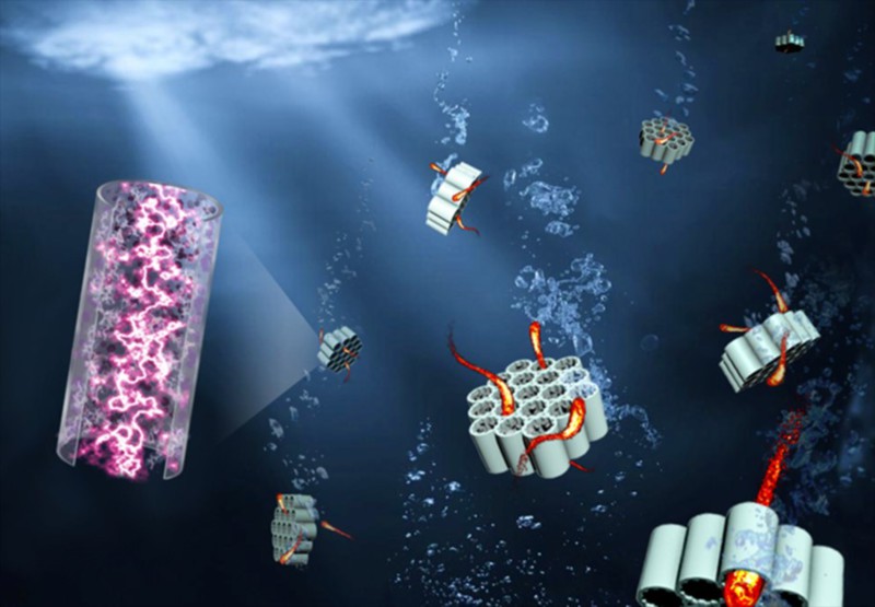 世界杯投注平台