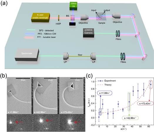 世界杯投注平台