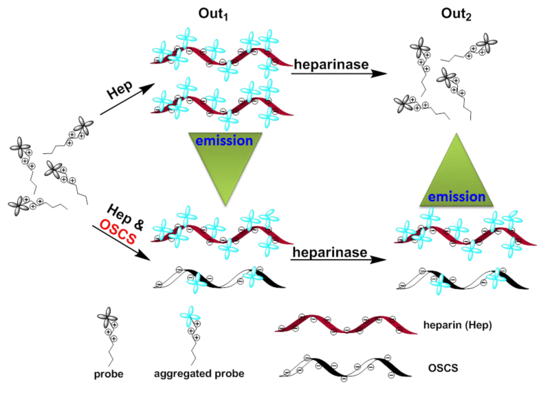 世界杯投注平台