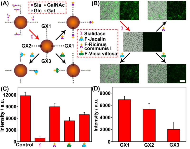 世界杯投注平台