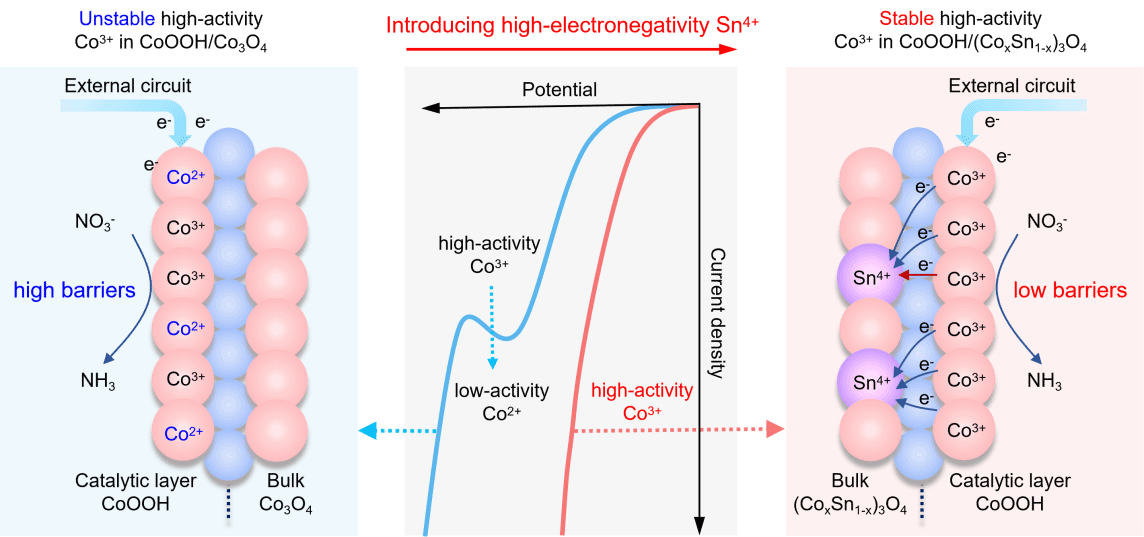 世界杯投注平台