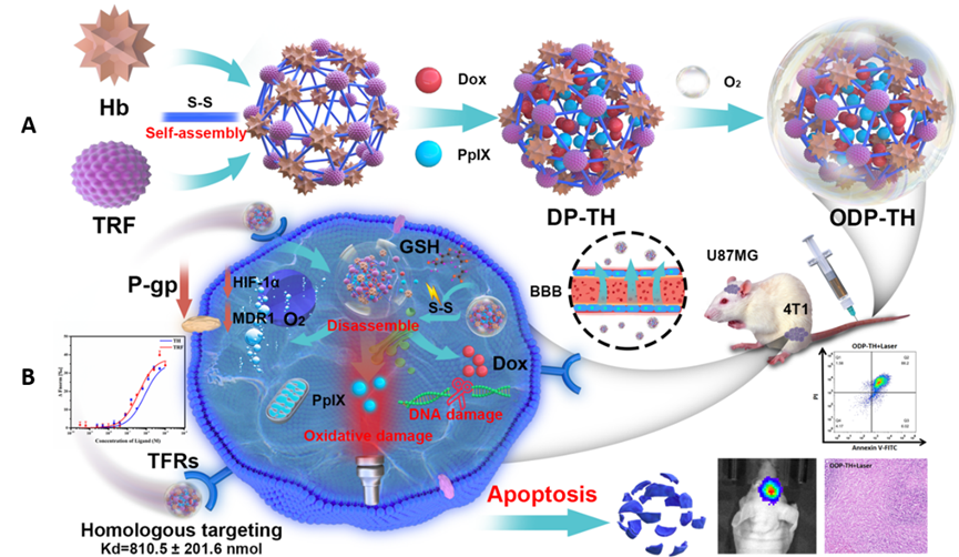 世界杯投注平台