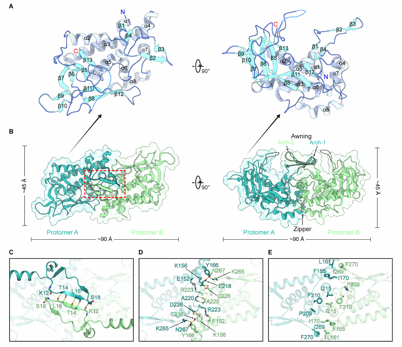 世界杯投注平台