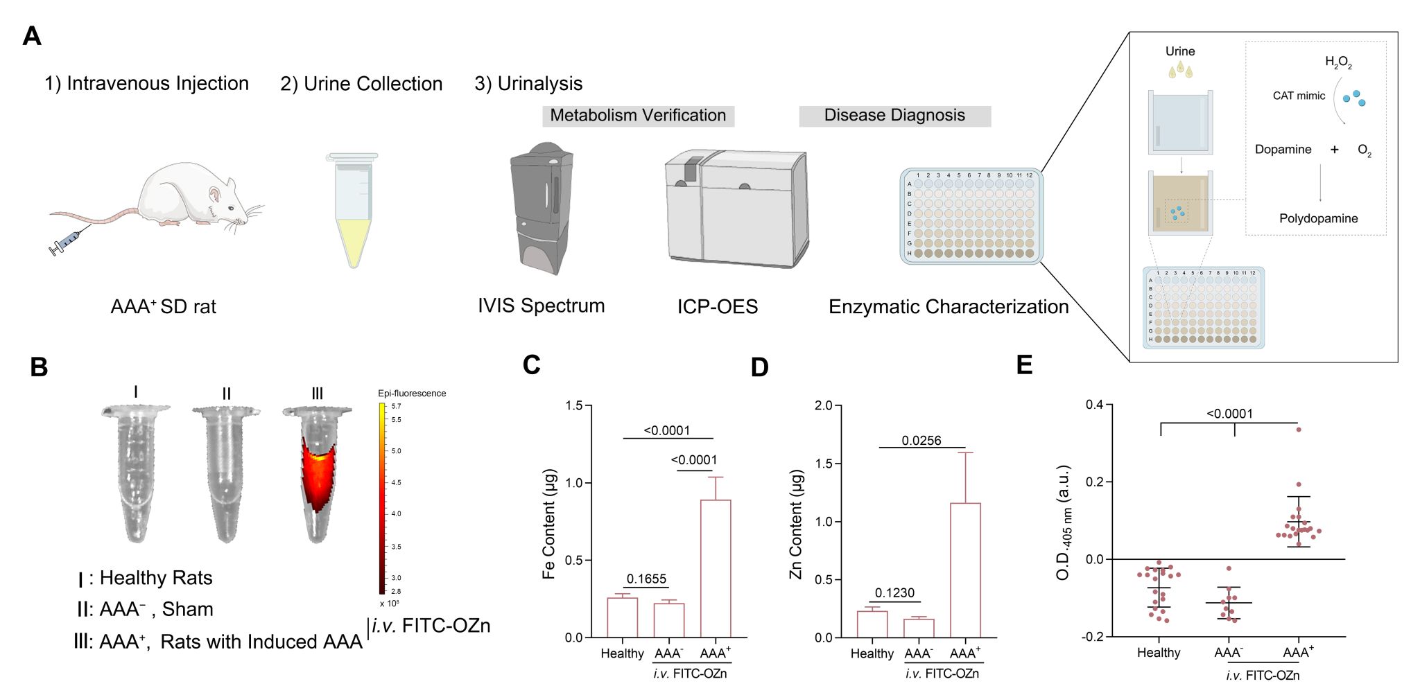 世界杯投注平台