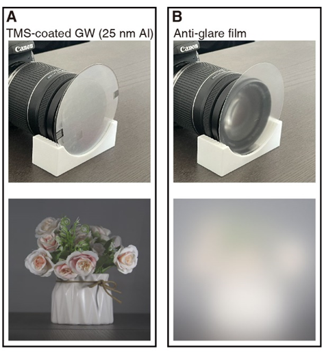 世界杯投注平台