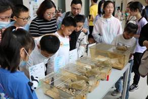 世界杯投注平台