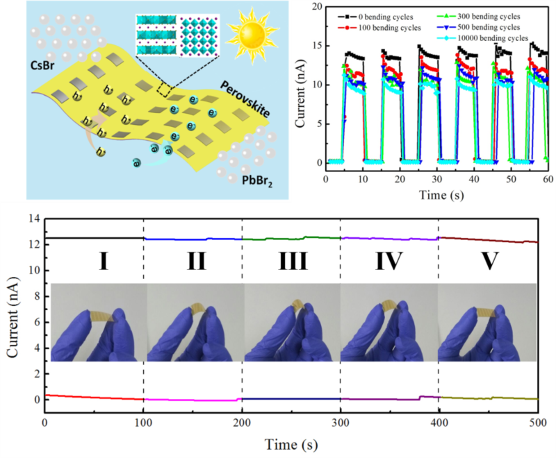 世界杯投注平台
