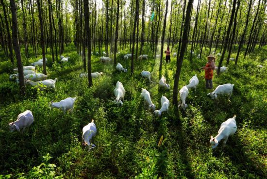 世界杯投注平台