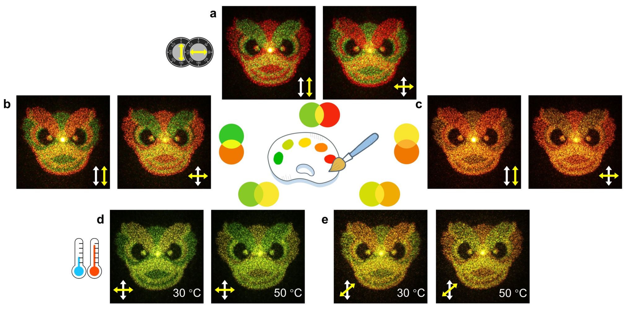 世界杯投注平台