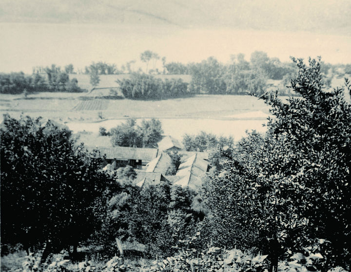 世界杯投注平台