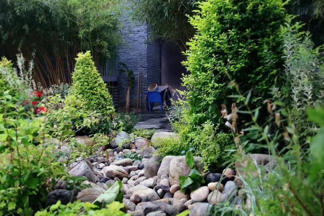 世界杯投注平台