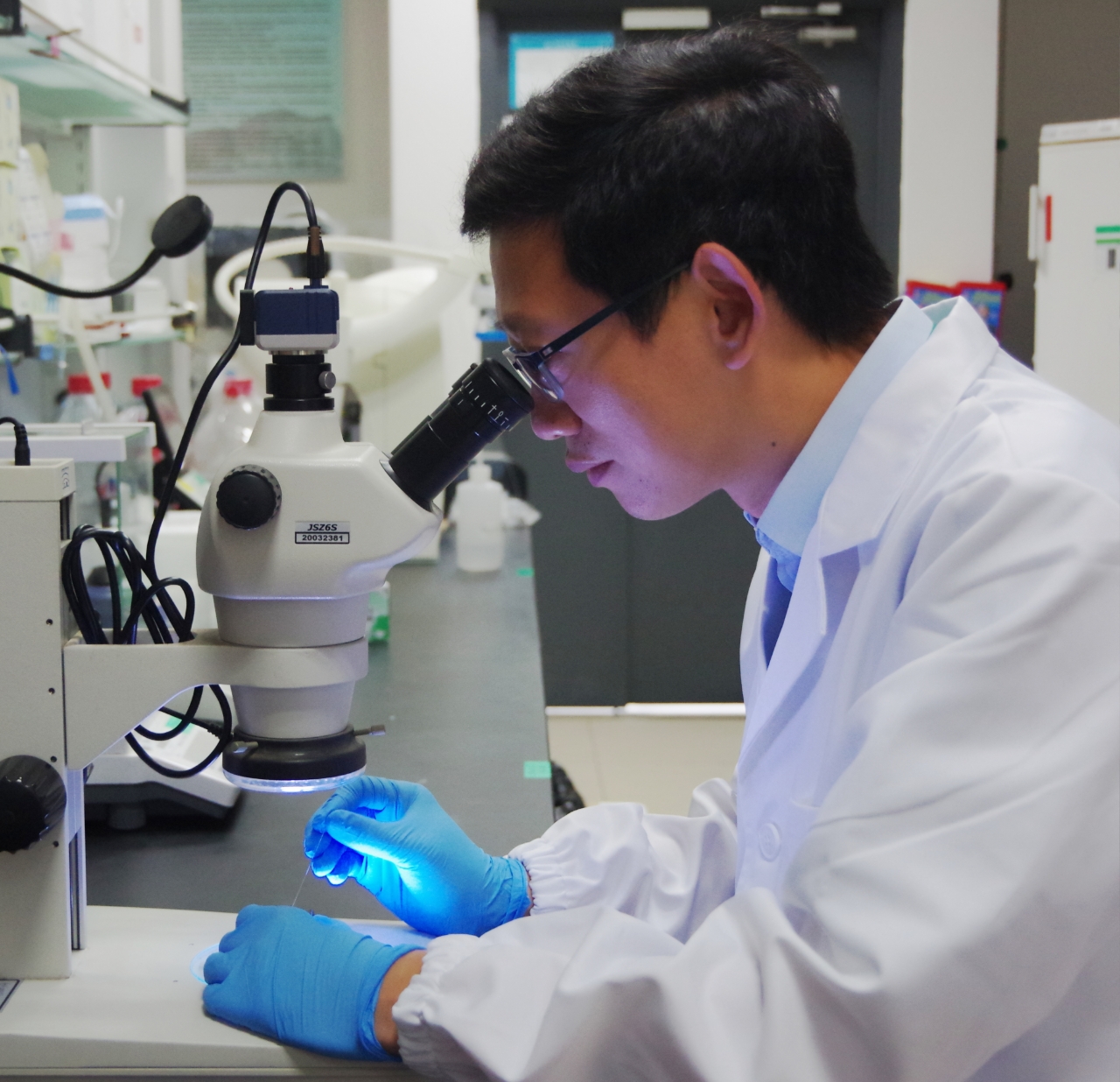 世界杯投注平台