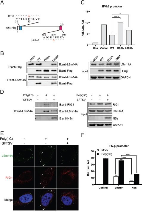 2 世界杯投注平台