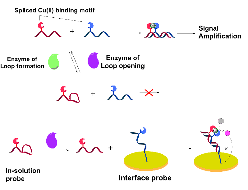 世界杯投注平台