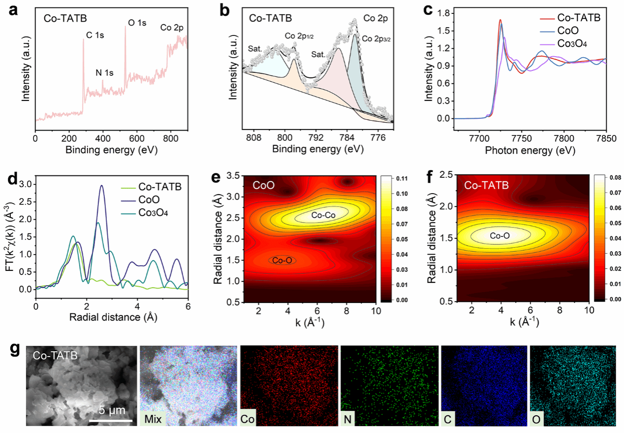 世界杯投注平台
