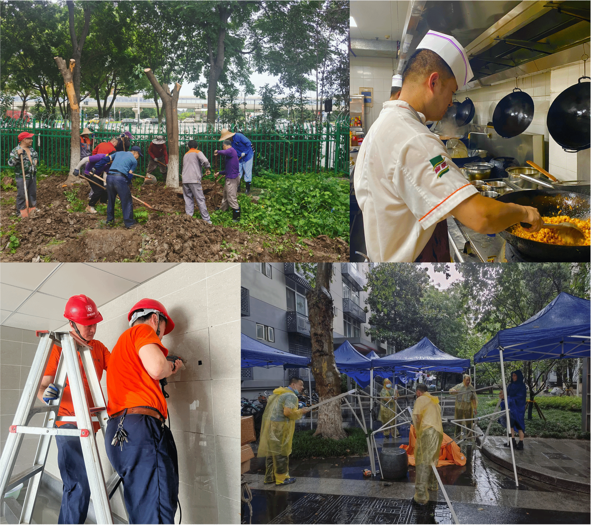 世界杯投注平台