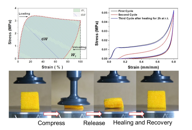 世界杯投注平台