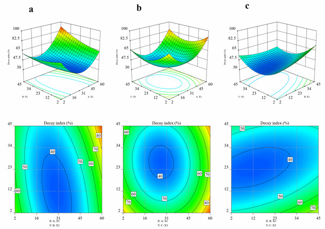 世界杯投注平台