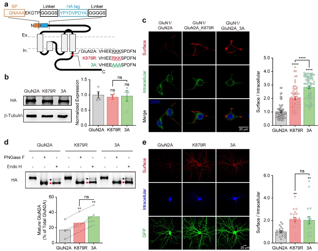 石云1 世界杯投注平台