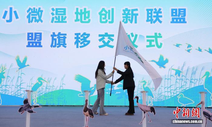 世界杯投注平台