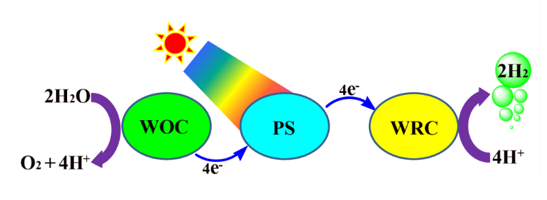 世界杯投注平台