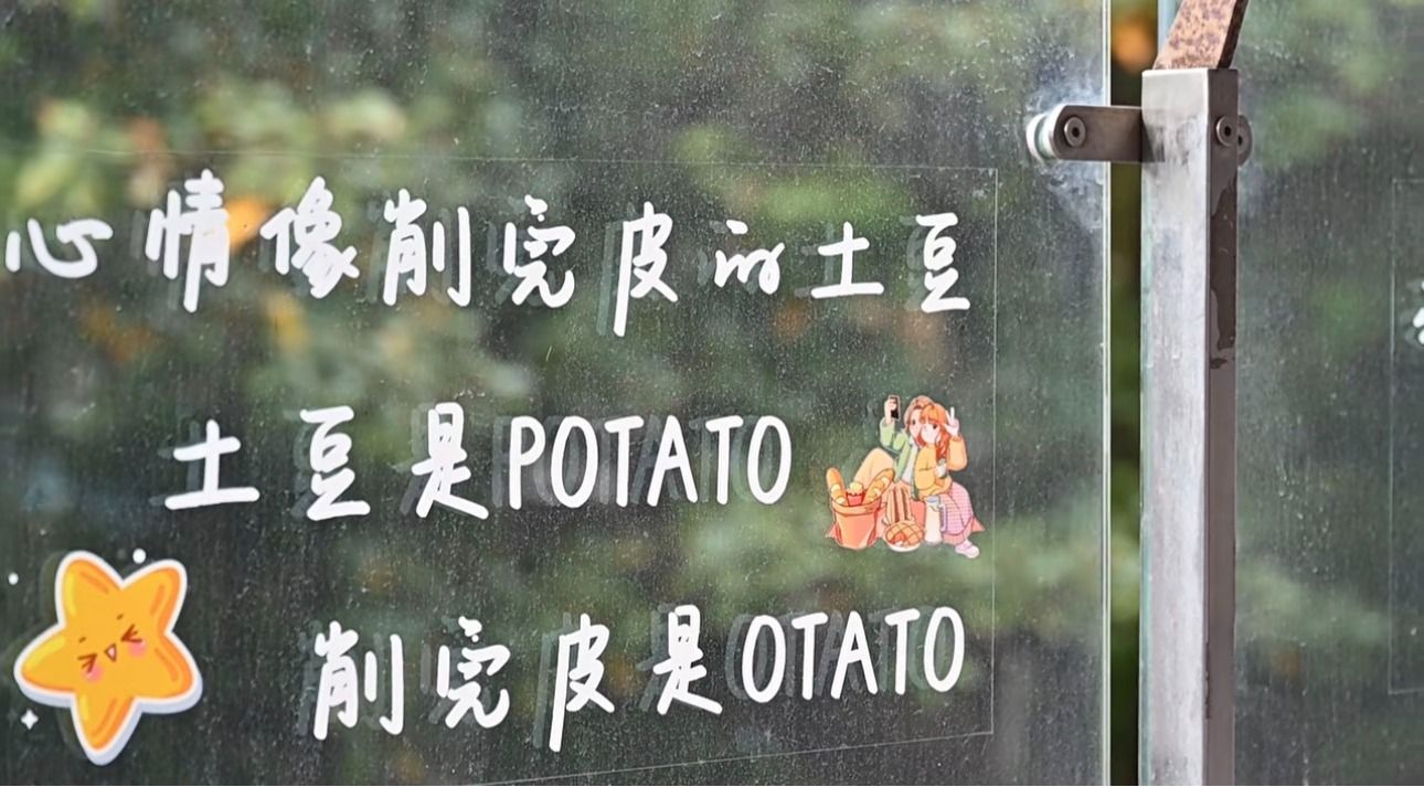 世界杯投注平台