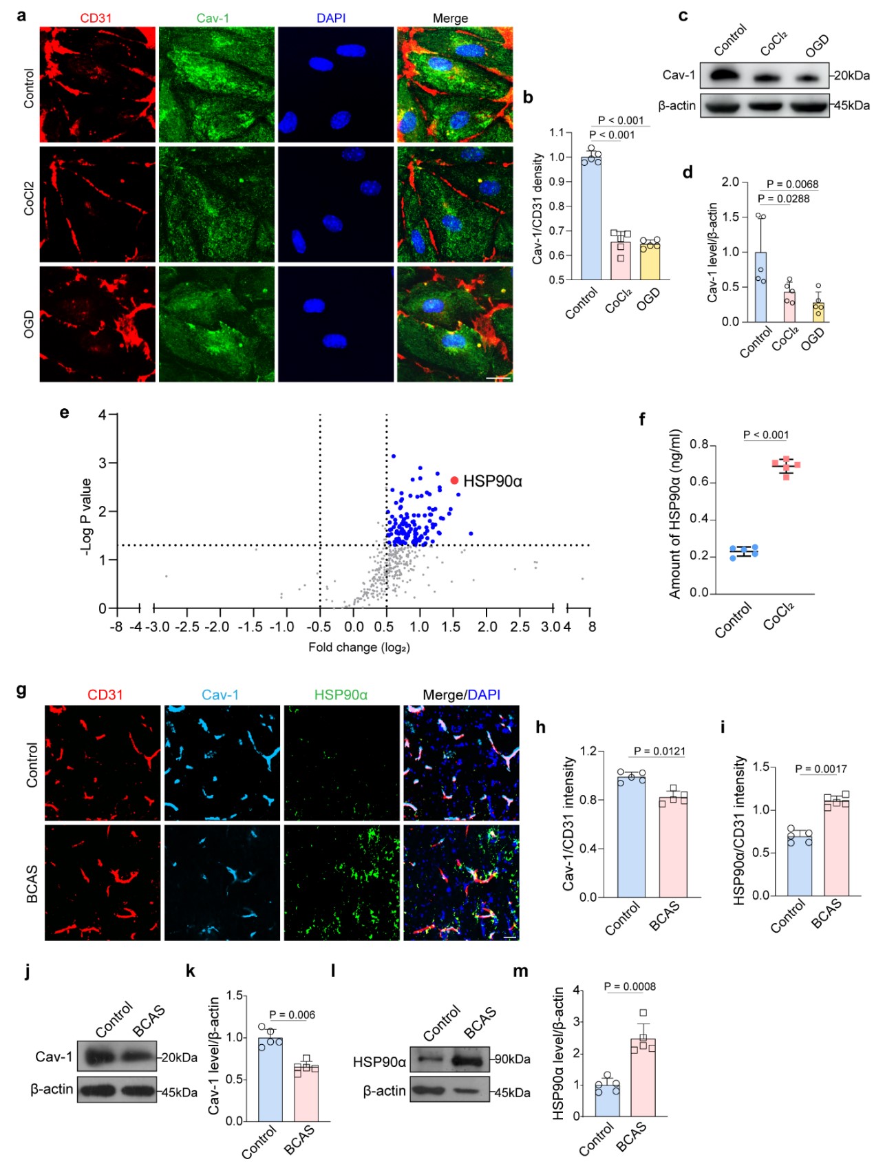 111122 世界杯投注平台
