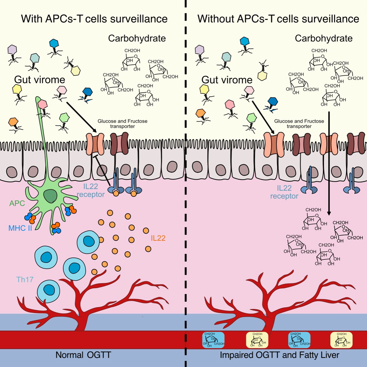 世界杯投注平台