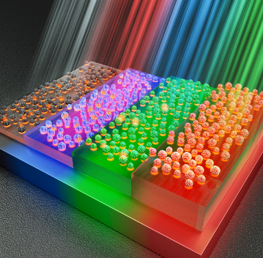 世界杯投注平台