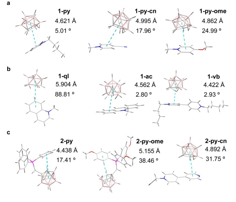 世界杯投注平台