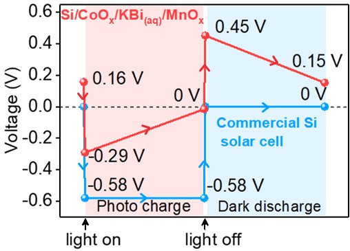 世界杯投注平台