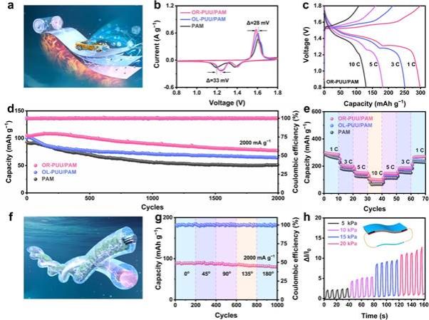 世界杯投注平台