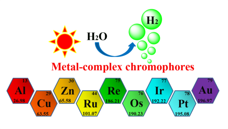 世界杯投注平台