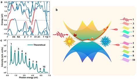世界杯投注平台
