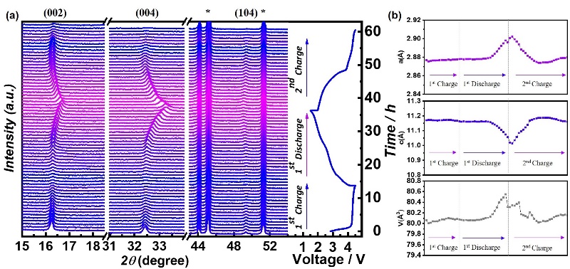 世界杯投注平台