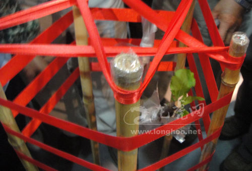 世界杯投注平台