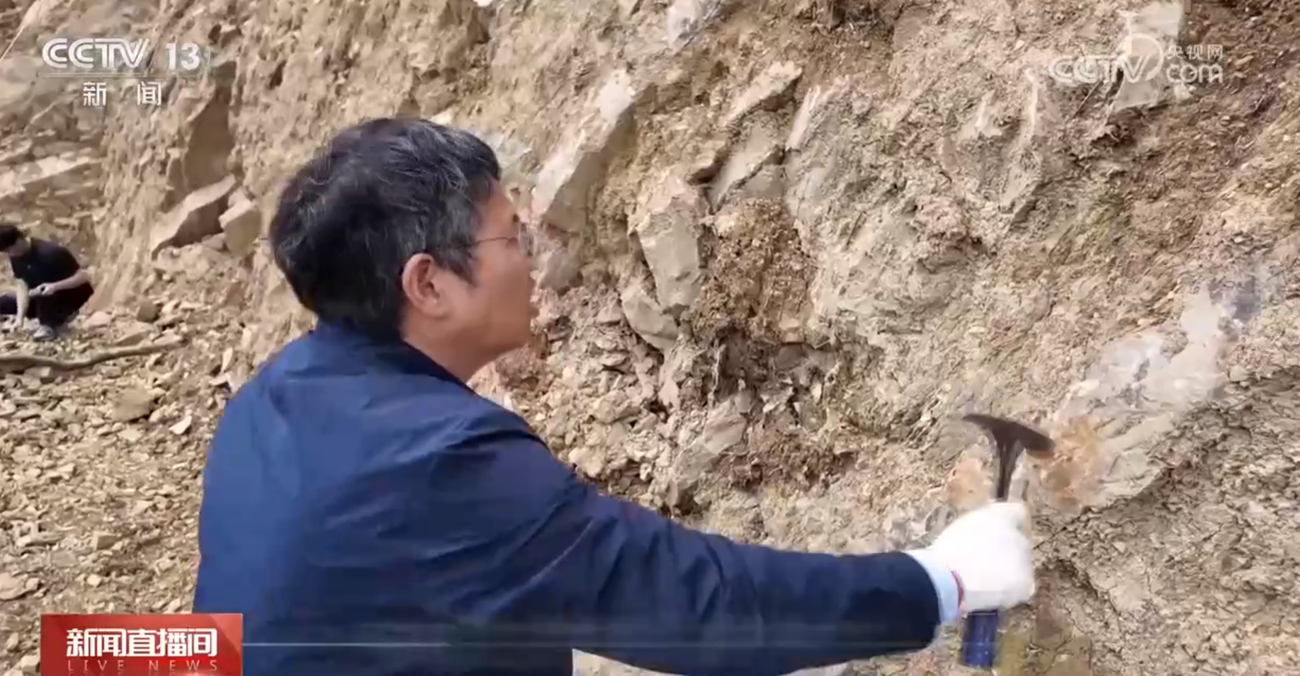 世界杯投注平台