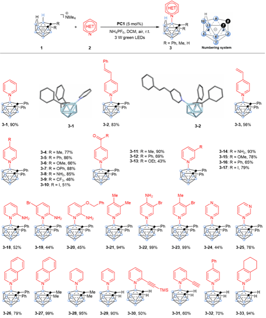 世界杯投注平台