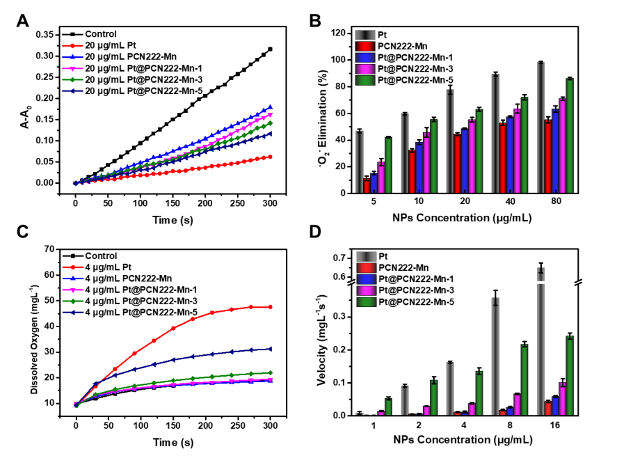 世界杯投注平台