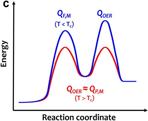 世界杯投注平台