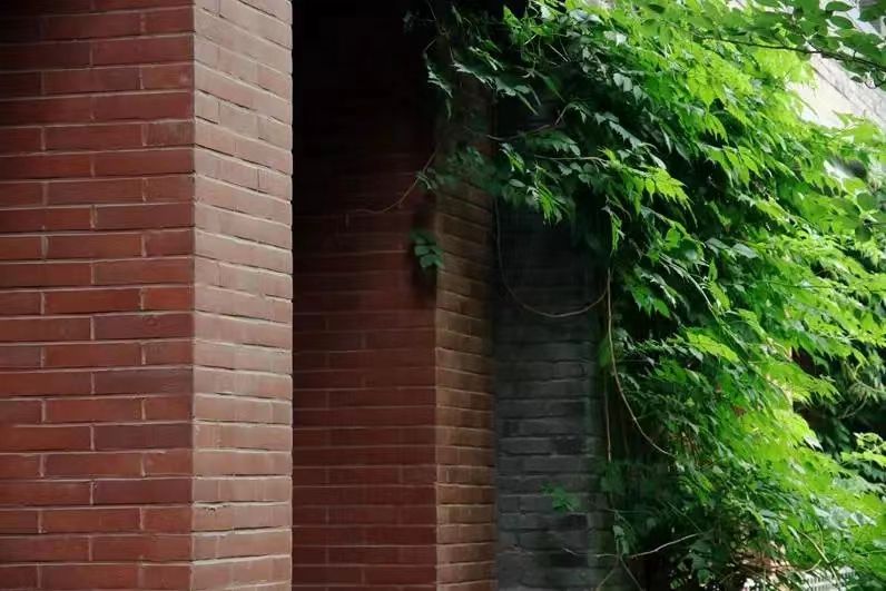 世界杯投注平台