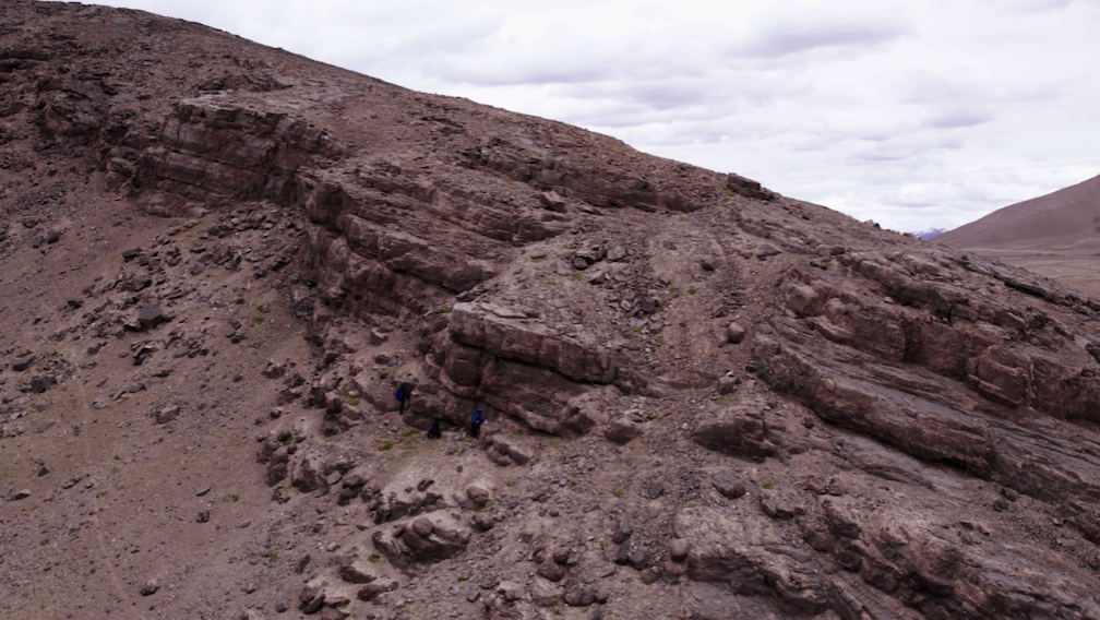 世界杯投注平台