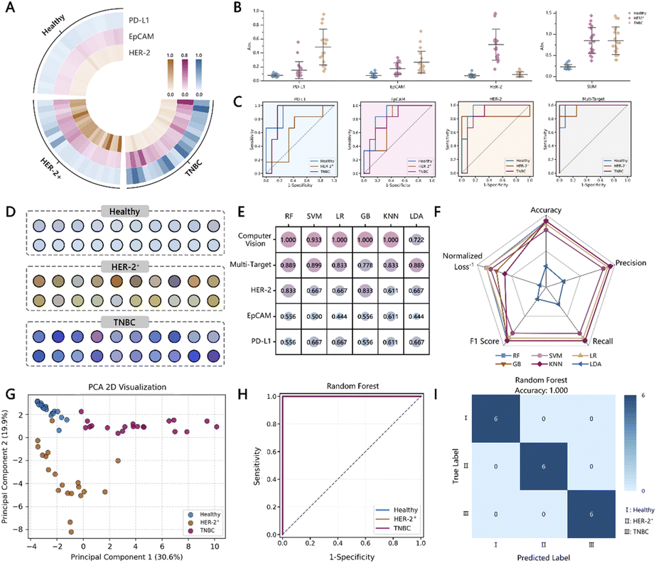 世界杯投注平台