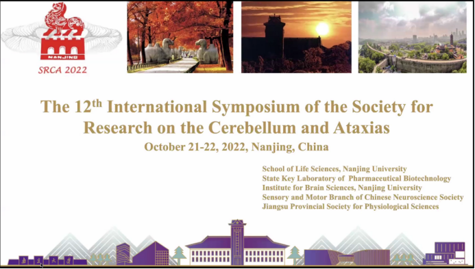 世界杯投注平台