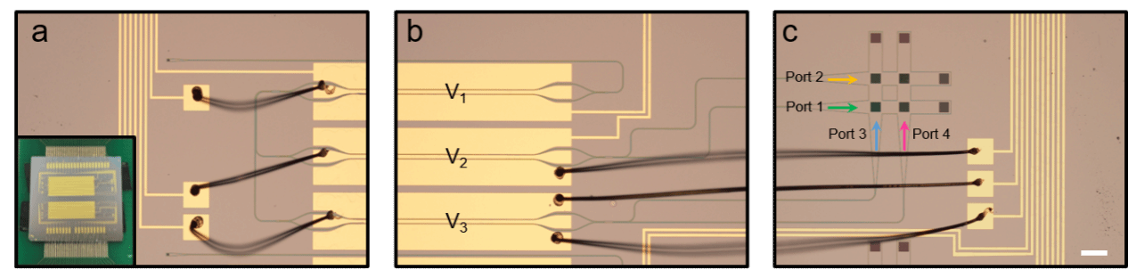 世界杯投注平台